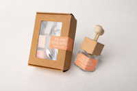 ISLAND PINEAPPLE | NON TOXIC VENT CLIP CAR DIFFUSER | SUMMER COLLECTION