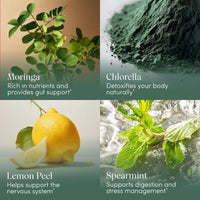 Your Wildest Greens™ greens & nutrient support herbal drops
