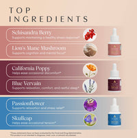 Now & Zen Mini Herbal Drops Set
