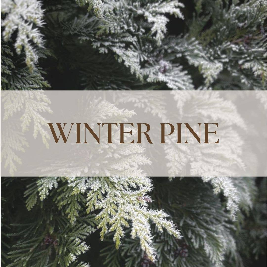WINTER PINE | 8OZ NON TOXIC SOY CANDLE | HOLIDAY COLLECTION