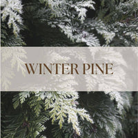 WINTER PINE | NON TOXIC VENT CLIP CAR DIFFUSER | HOLIDAY COLLECTION