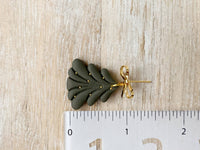 Balsam Fir