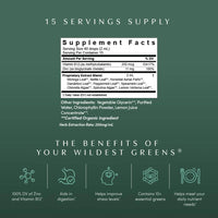 Your Wildest Greens™ greens & nutrient support herbal drops