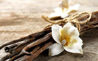 Warm Vanilla Drive Car Air Freshener Refill