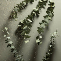 Eucalyptus Rosemary Nourishing Sanitizer Travel Refill Pouch