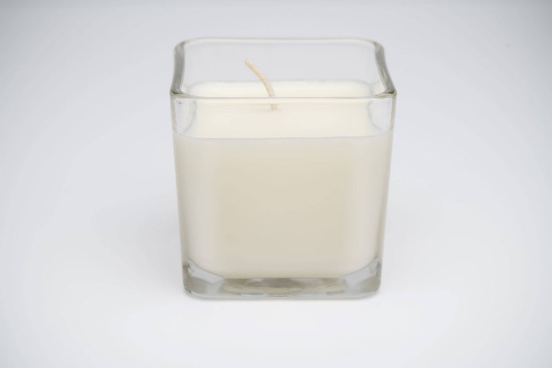 Citrus Basil & Wild Mint: 2-in-1 Soy Lotion Candle