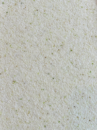 Sand Candles - Jasmine Oolong