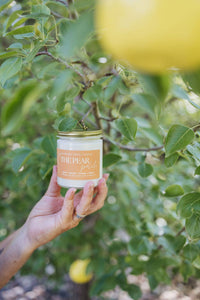THE PEAR PATCH | NON TOXIC SOY WAX CANDLE | FALL COLLECTION
