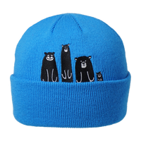 Bear's Den KIDS Toque