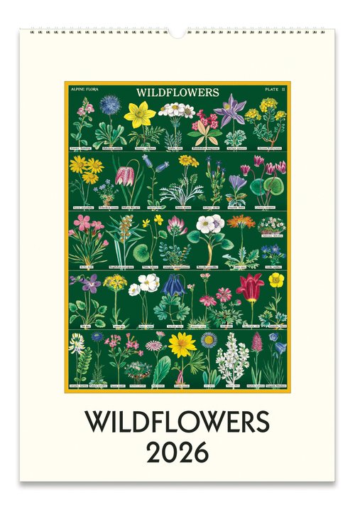Wall Calendar 2026 - Wildflowers