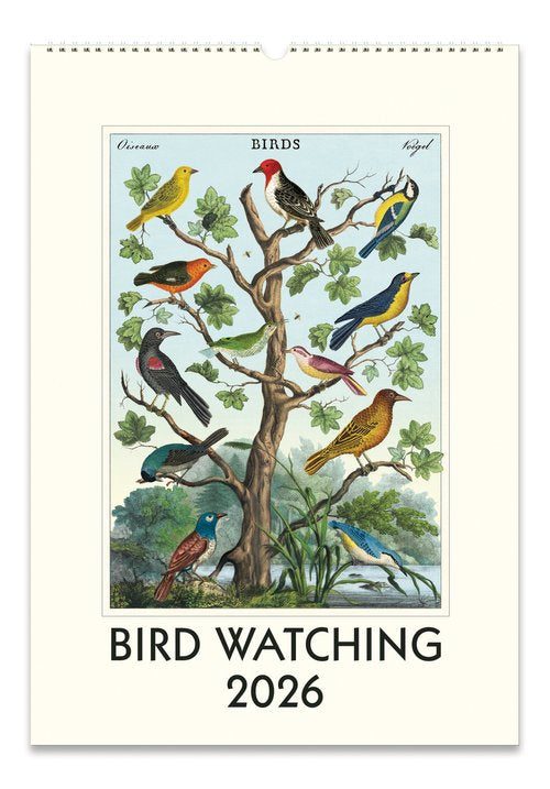 Wall Calendar 2026 - Bird Watching