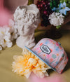Garden Groove Snapback -Mary's Rose