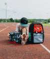 Colorblock Ice and Fire Backpack