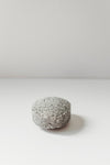 Shampoo Bar