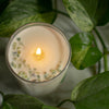 Garden Classic Glass Candle