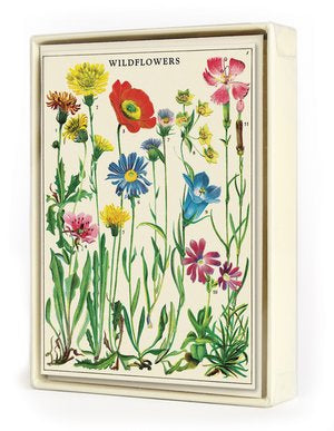 Boxed Notecards- Wildflowers