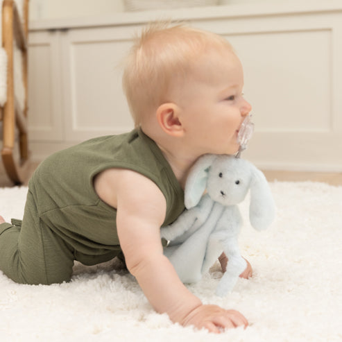 Pacifier Buddy - Danny The Dog