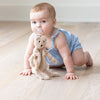 Pacifier Buddy - Bernie the Bear