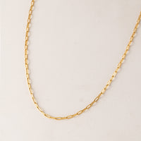 Paperclip Chain Necklace - Gold