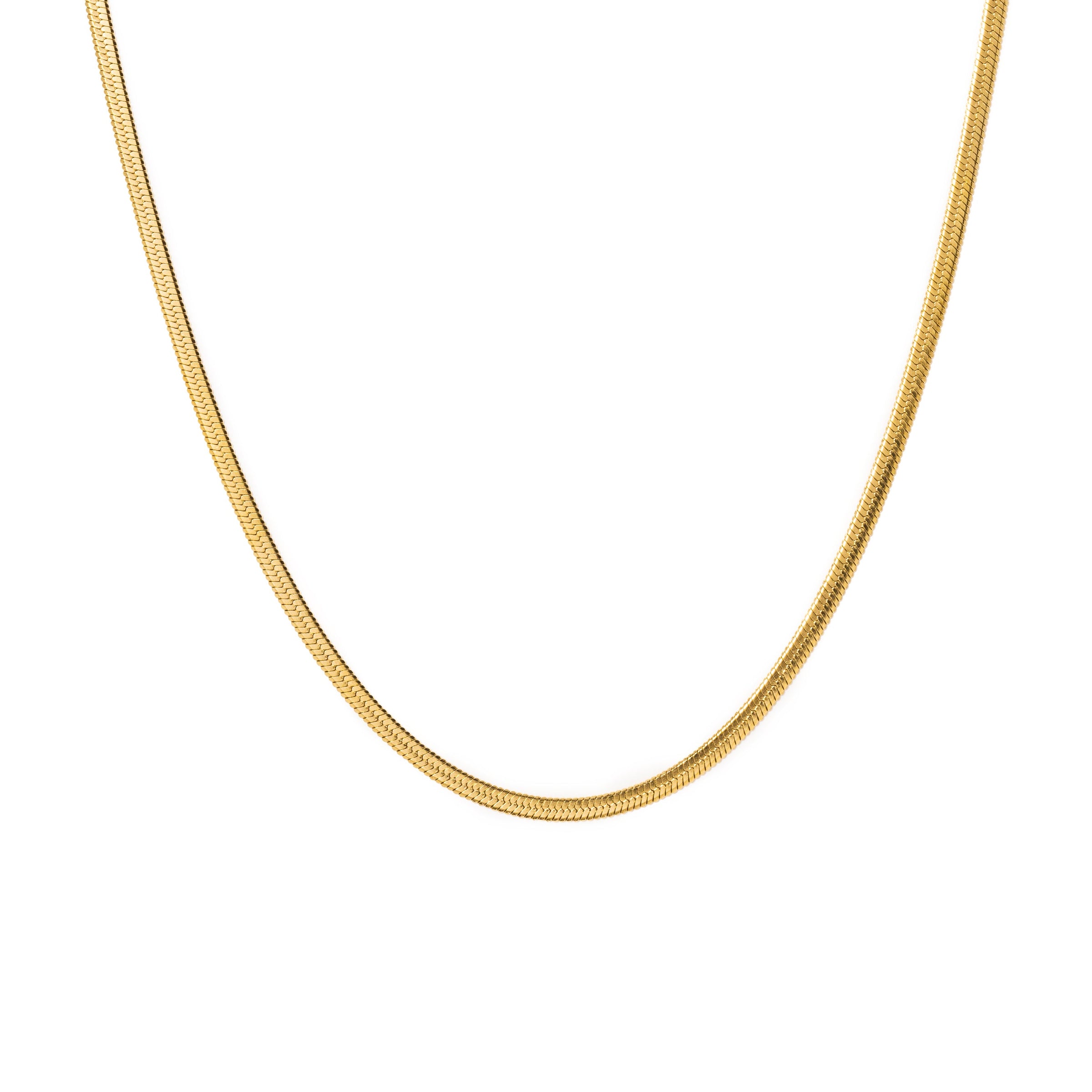 Sasha Herringbone Necklace - Gold