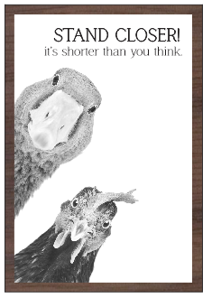 8x12" Stand Closer (UV Printed/Walnut Framed)