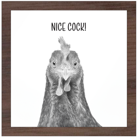 8x8" Nosy Chicken - Nice Cock