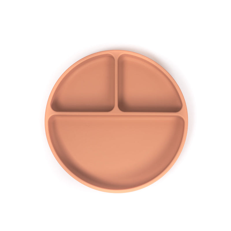 Terracotta Silicone Suction Divider Plate