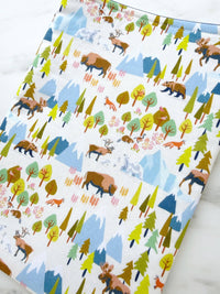 Canada coast to coast - padded book sleeve, book pouch