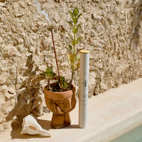 Citronella Jumbo Incense - Sea Salt