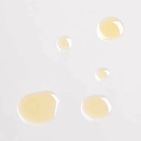 Prickly Pear + Schisandra Youth Concentrate