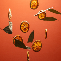 Orange - Coriander Moisturizing Sanitizer Mini Refill Pouch