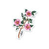 Alberta Wildrose Floral Matte Vinyl Sticker