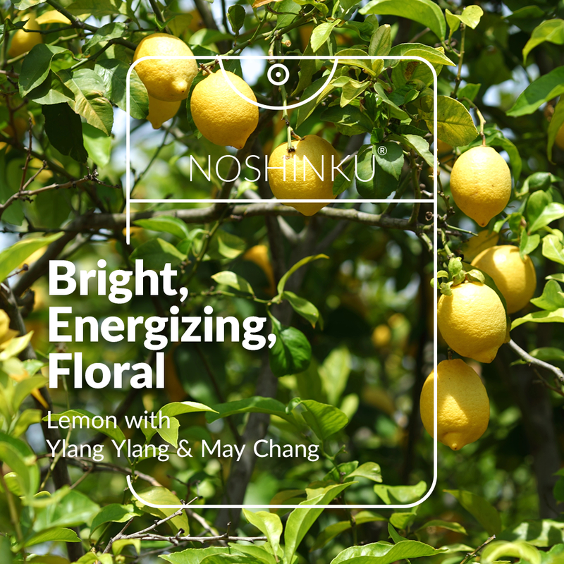 Lemon Ylang-Ylang Moisturizing Pocket Sanitizer