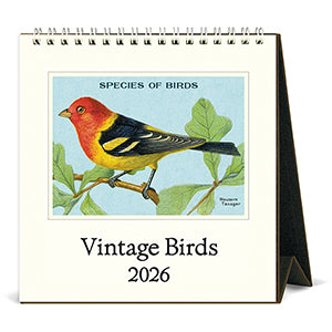 Desk Calendar 2026- Birds