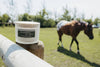 BACK PORCH BOURNON | NON TOXIC SOY WAX CANDLE | FALL COLLECT