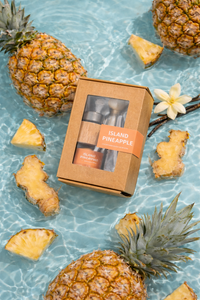 ISLAND PINEAPPLE | NON TOXIC VENT CLIP CAR DIFFUSER | SUMMER COLLECTION