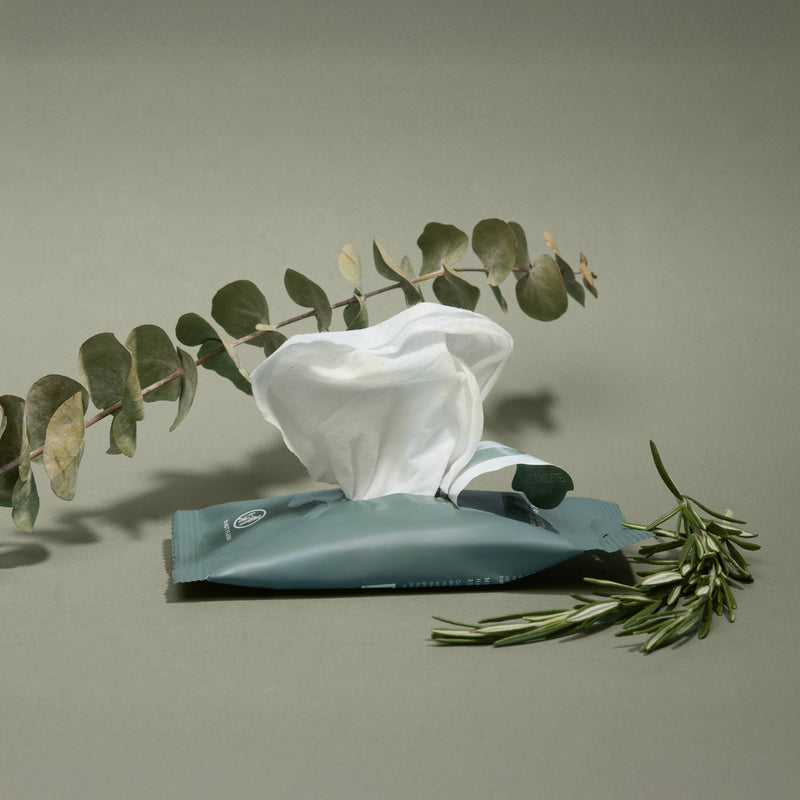 Eucalyptus Nourishing Hand Sanitizing Travel Wipes