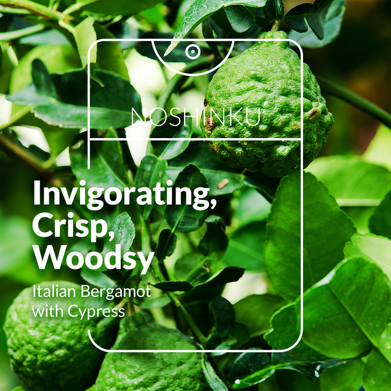 Bergamot Ultra-Moisturizing Pocket Hand Sanitizer