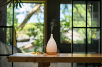 Corona White Ceramic Ultrasonic Diffuser