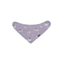 Bandana Bib