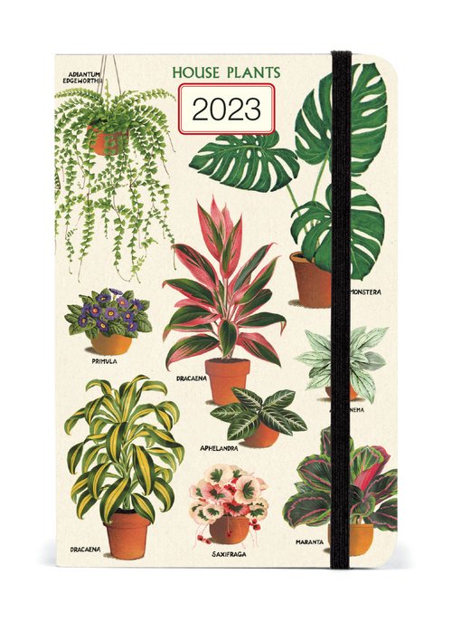 Weekly Calendar 2023 - House Plants