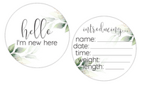Newborn Milestone Set - Soft Greenery