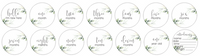 Newborn Milestone Set - Soft Greenery