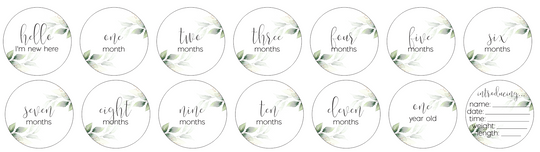 Newborn Milestone Set - Soft Greenery