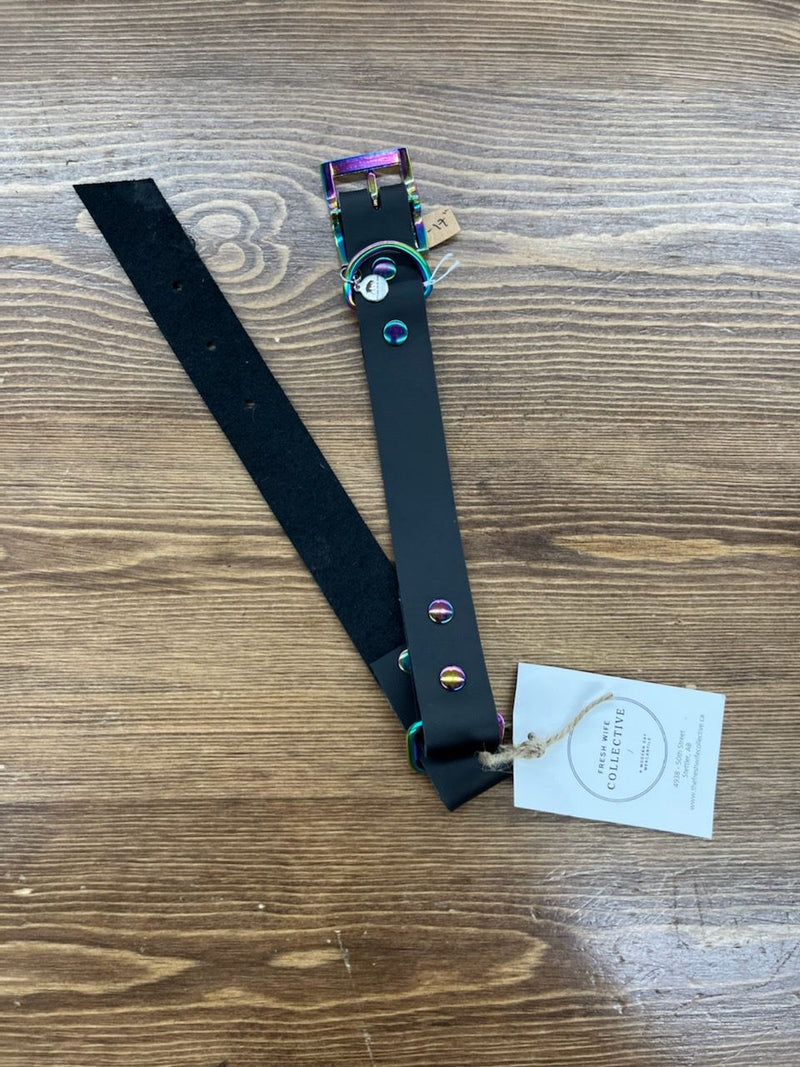Black/Rainbow Chrome Dog Collar - 15-17" - 1"