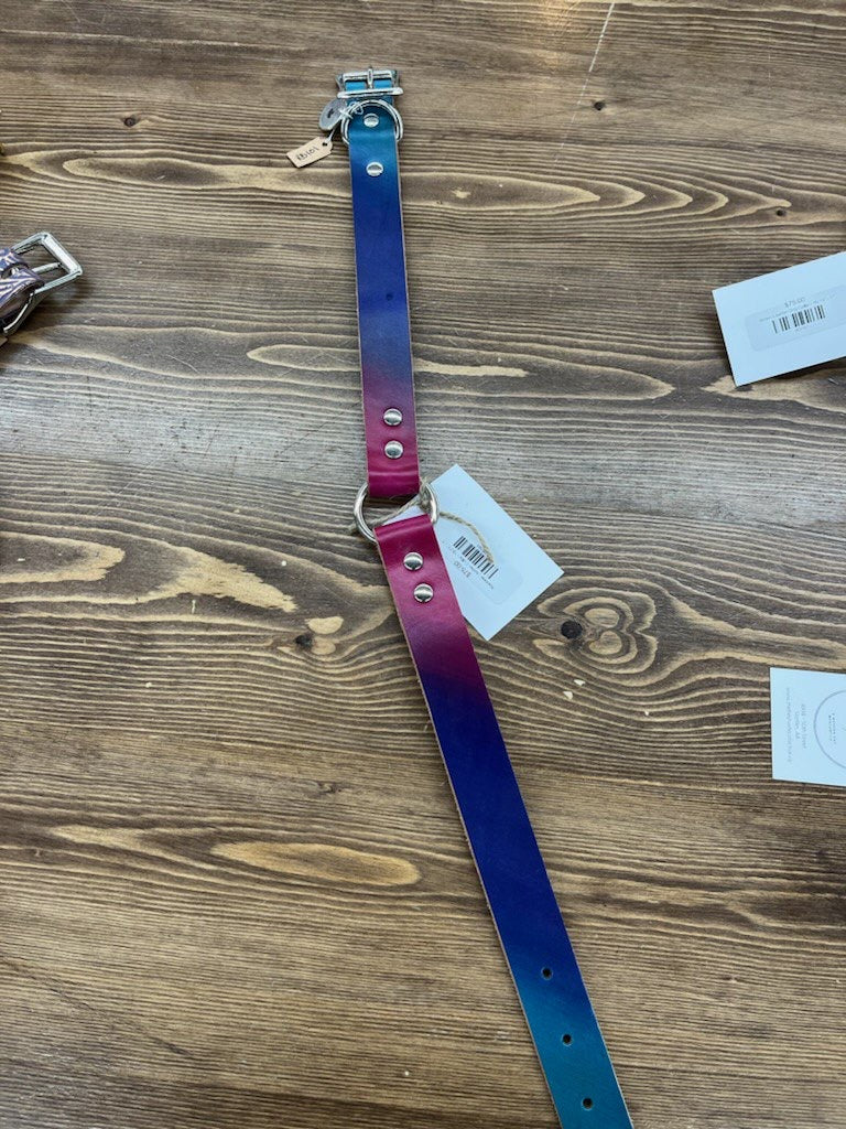 Rainbow Leather Collar - 19-21" - 1"