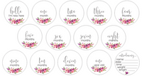 Newborn Milestone Set - Bright Floral Numbers