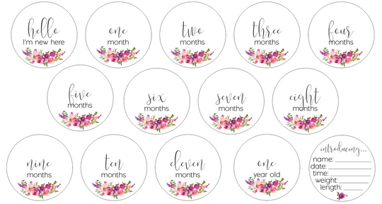Newborn Milestone Set - Bright Floral Numbers