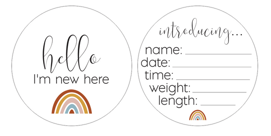 Newborn Milestone Set - Boho Rainbows