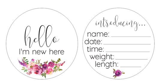 Newborn Milestone Set - Bright Floral Numbers